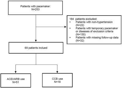 Effects of ACEI/ARB or CCB use on atrial fibrillation in hypertensive patients following permanent pacemaker implantation